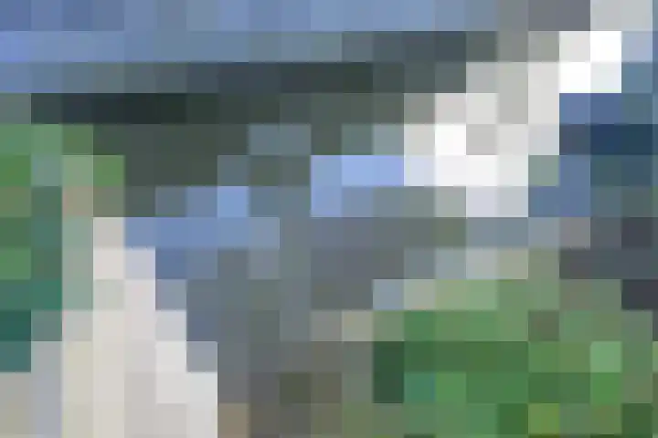 Wolfsberg 75 Asten thumbnail 34