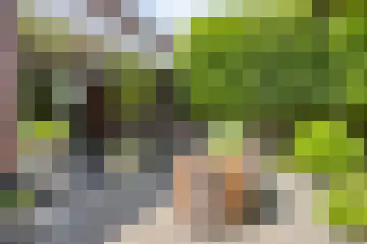 Wolfsberg 75 Asten thumbnail 39