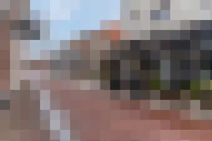 Wolfsberg 75 Asten thumbnail 48
