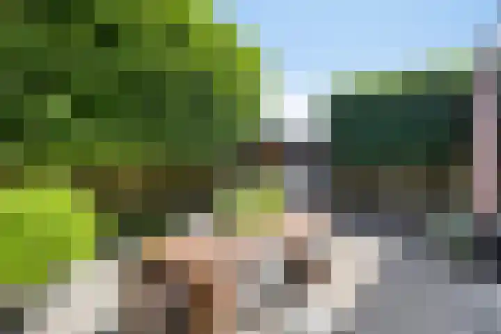 Wolfsberg 75 Asten thumbnail 5
