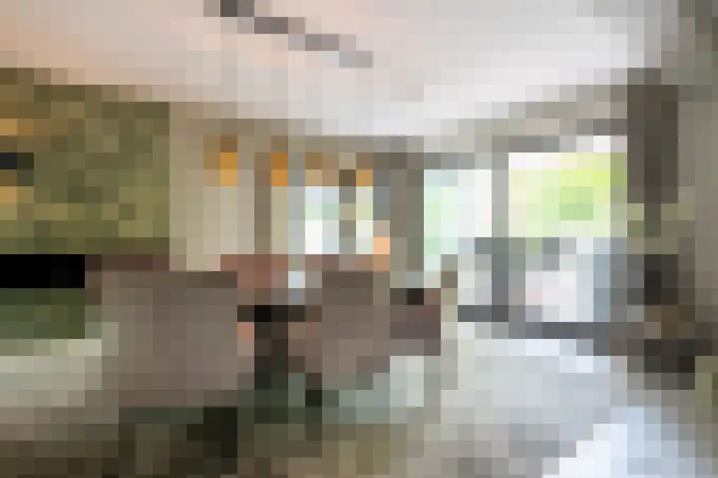 Wolfsbergenweg 2 Emmen thumbnail 10