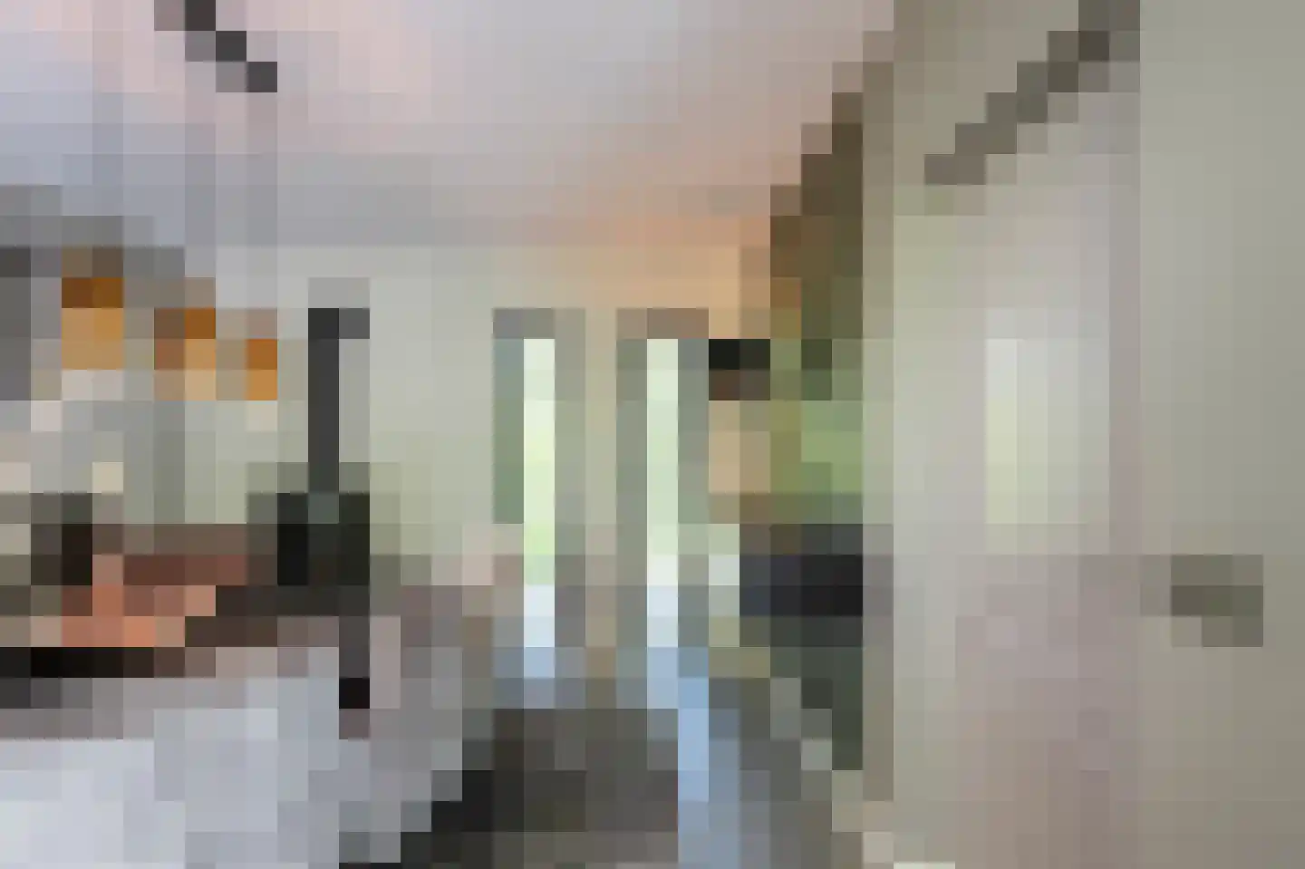 Wolfsbergenweg 2 Emmen thumbnail 11