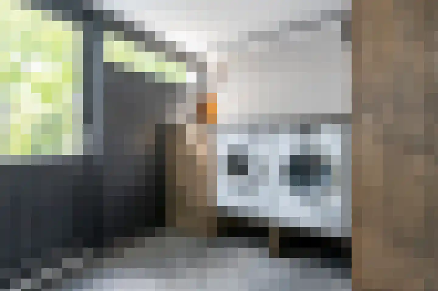 Wolfsbergenweg 2 Emmen thumbnail 17