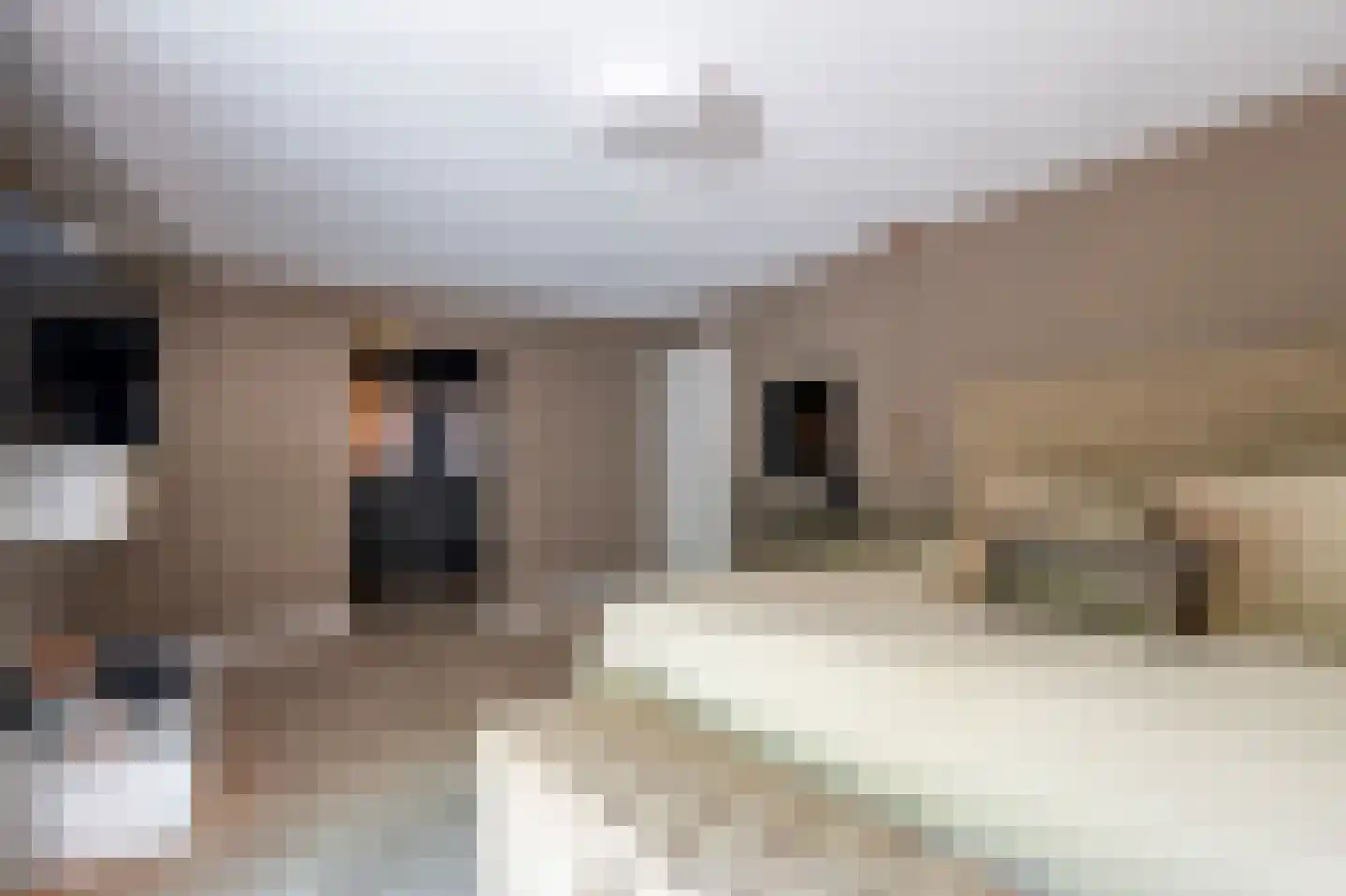 Wolfsbergenweg 2 Emmen thumbnail 23