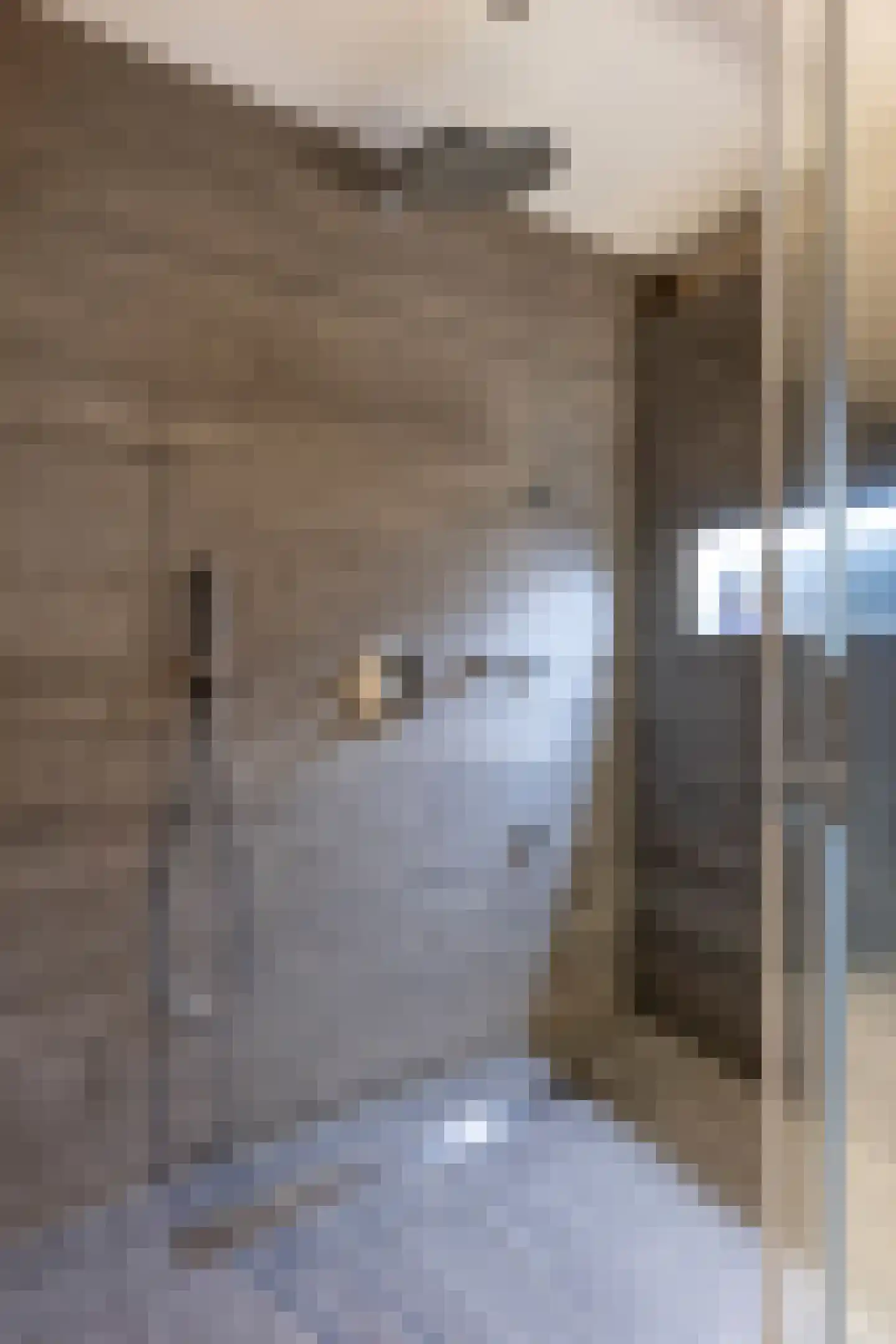 Wolfsbergenweg 2 Emmen thumbnail 31