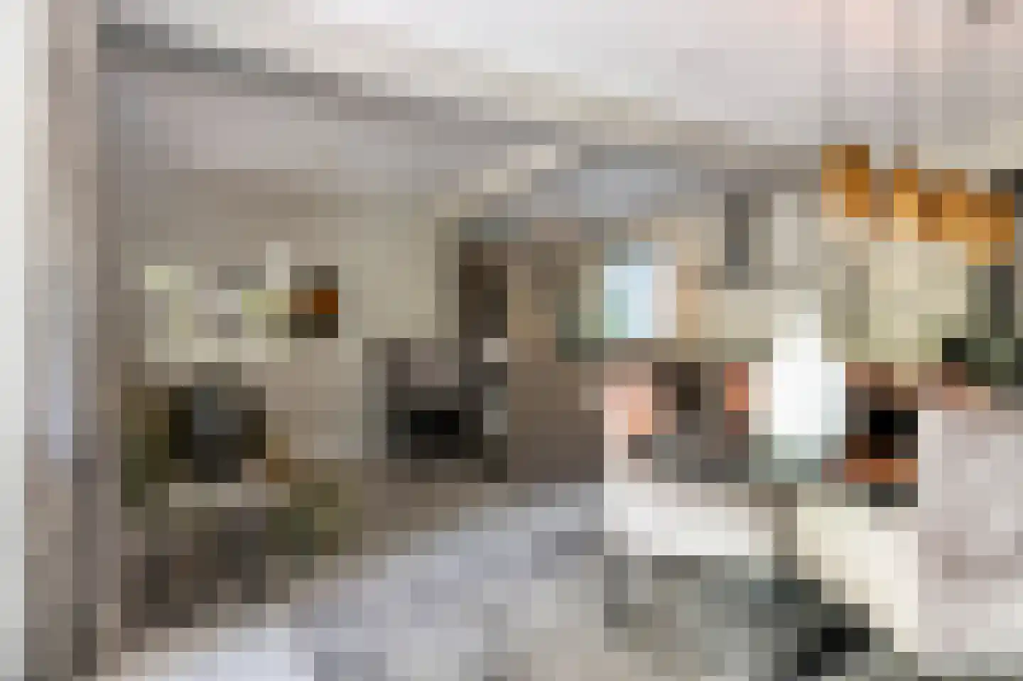 Wolfsbergenweg 2 Emmen thumbnail 9
