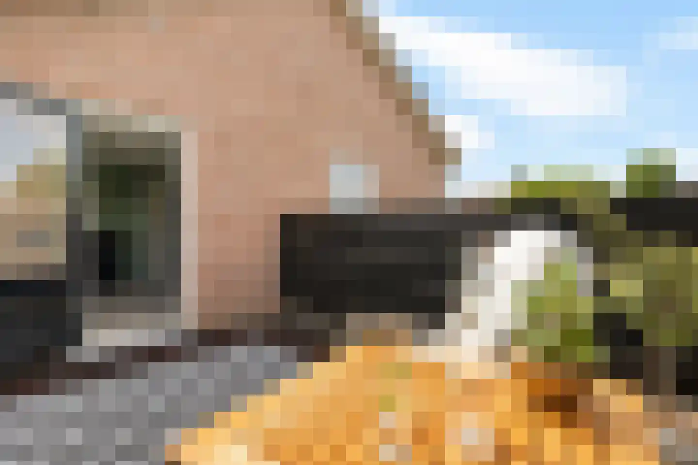 Wolfsbergenweg 20 Emmen thumbnail 33