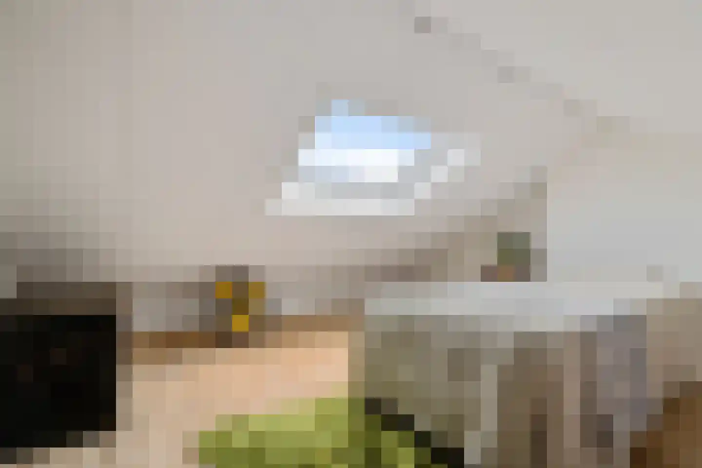 Wolfsbergenweg 20 Emmen thumbnail 35