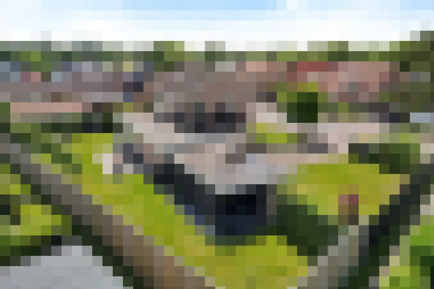 Wolfsbergenweg 20 Emmen thumbnail 4