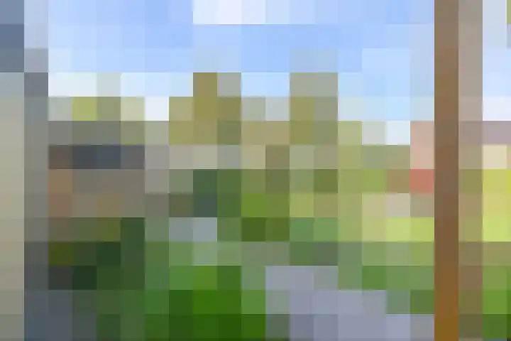 Wolfsbergenweg 23 Emmen thumbnail 67