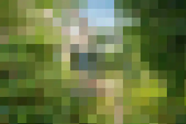 Wolfsbergenweg 4 Emmen thumbnail 23