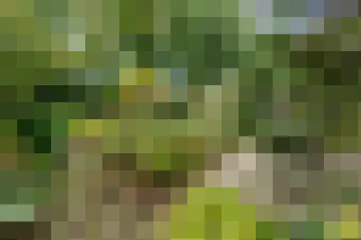 Wolfsbergenweg 4 Emmen thumbnail 24