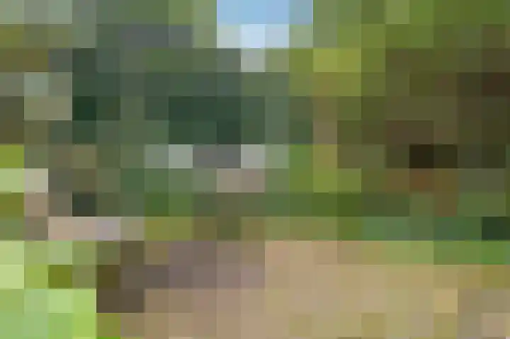Wolfsbergenweg 4 Emmen thumbnail 25