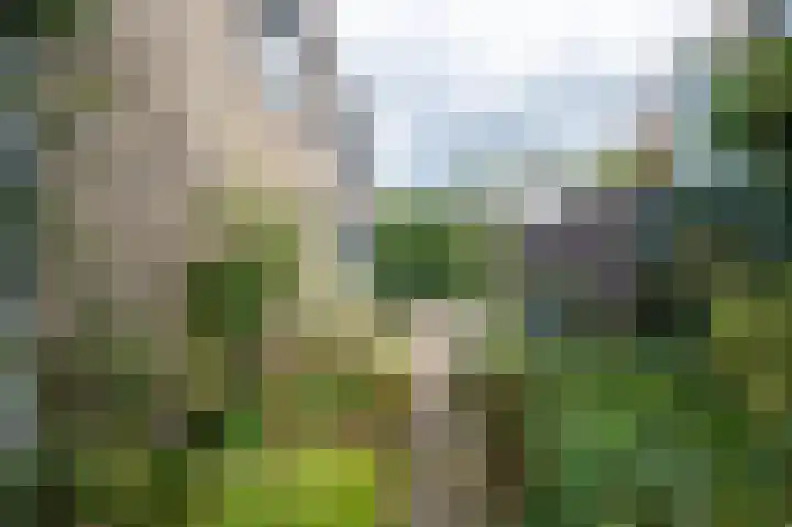 Wolfsbergenweg 4 Emmen thumbnail 27
