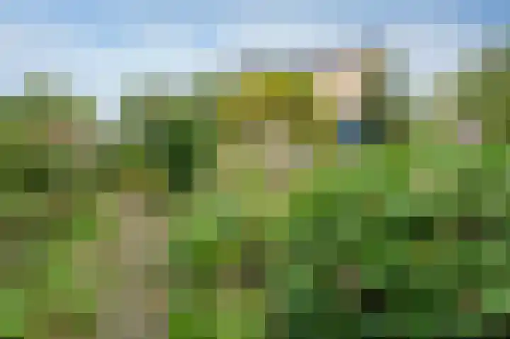 Wolfsbergenweg 4 Emmen thumbnail 30