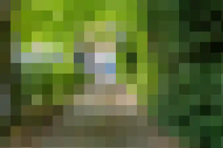 Wolfsbergenweg 4 Emmen thumbnail 31