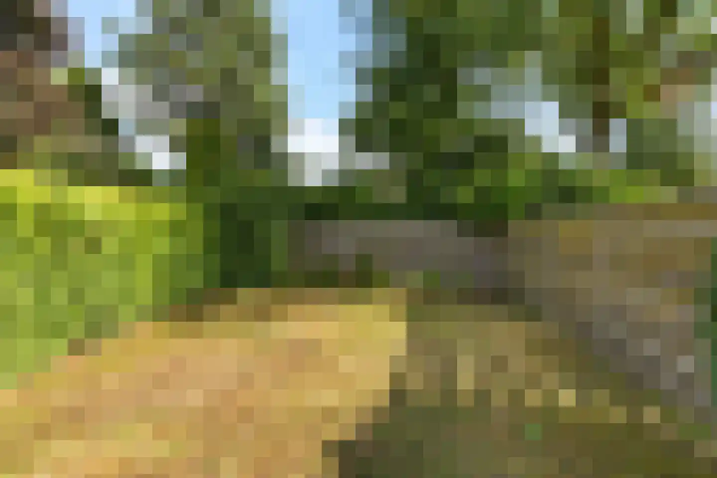 Wolfsbergenweg 42 Emmen thumbnail 37