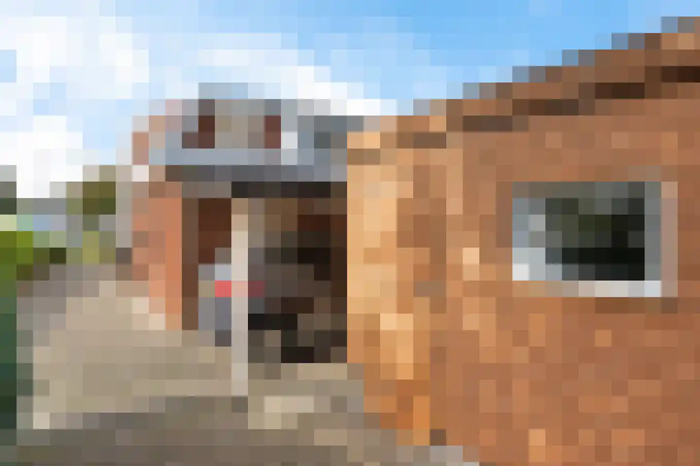 Wolfsbergenweg 42 Emmen thumbnail 39
