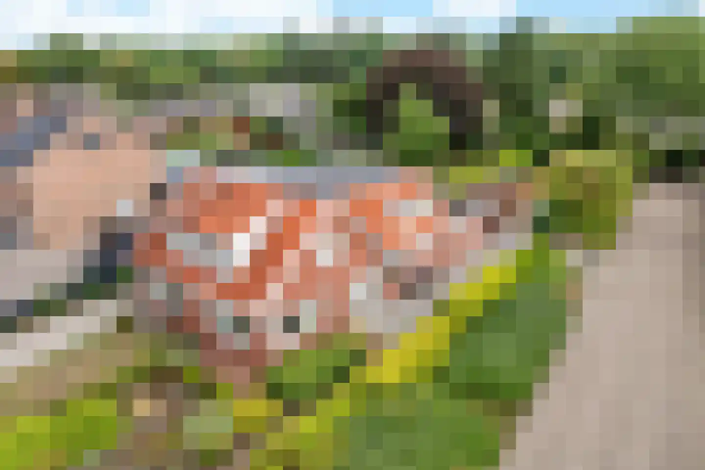 Wolfsbergenweg 42 Emmen thumbnail 5
