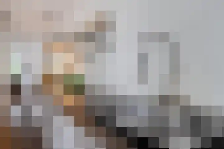 Wolfsbossingel 111 Beuningen Gld thumbnail 14