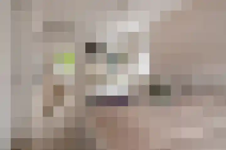 Wolfsbossingel 111 Beuningen Gld thumbnail 20
