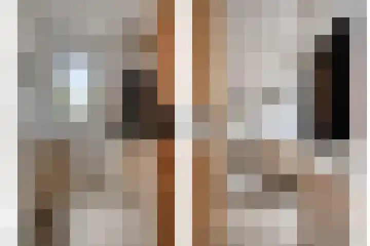 Wolfsbossingel 111 Beuningen Gld thumbnail 21