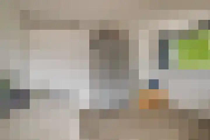 Wolfsbossingel 111 Beuningen Gld thumbnail 33