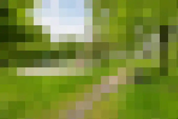 Wolfsbossingel 111 Beuningen Gld thumbnail 35