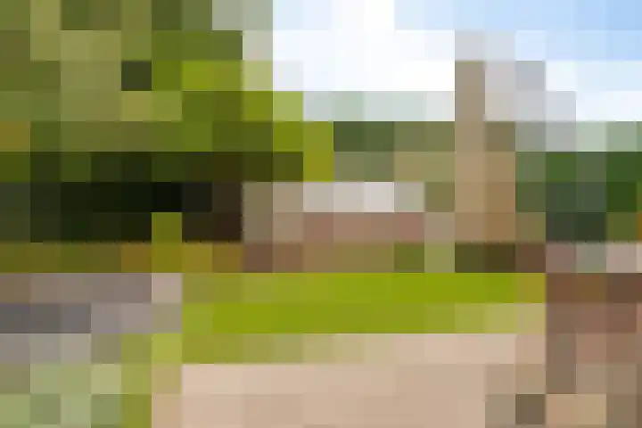 Wolfsbossingel 111 Beuningen Gld thumbnail 36