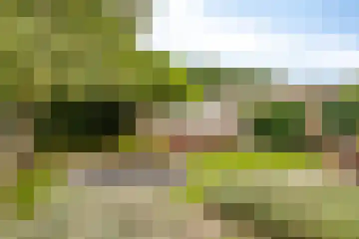 Wolfsbossingel 111 Beuningen Gld thumbnail 37