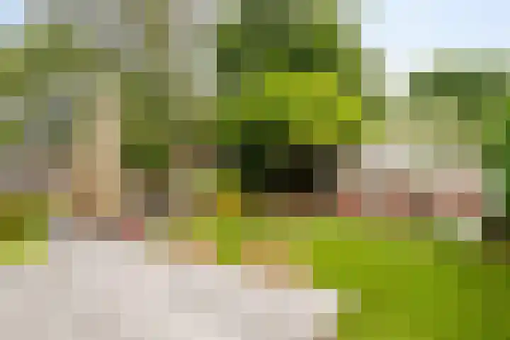 Wolfsbossingel 111 Beuningen Gld thumbnail 38