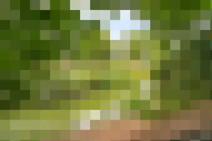 Wolfsbossingel 111 Beuningen Gld thumbnail 42