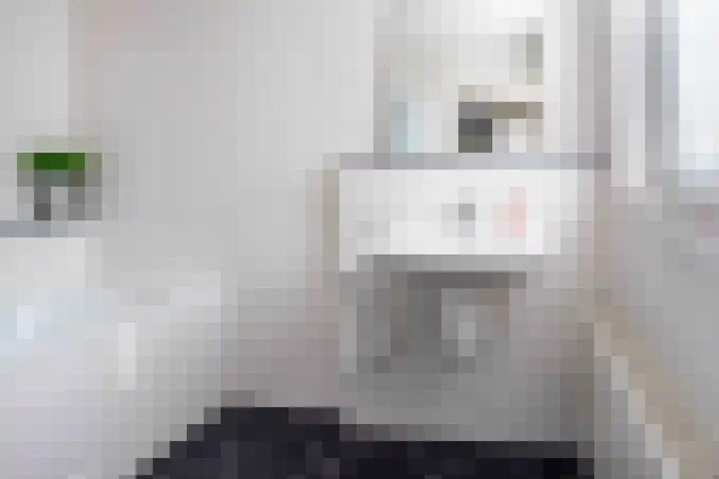 Wolfsbossingel 125 Beuningen Gld thumbnail 18