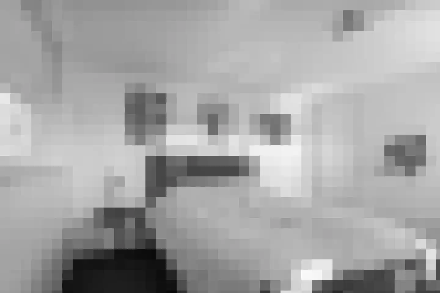 Wolfsbossingel 125 Beuningen Gld thumbnail 20