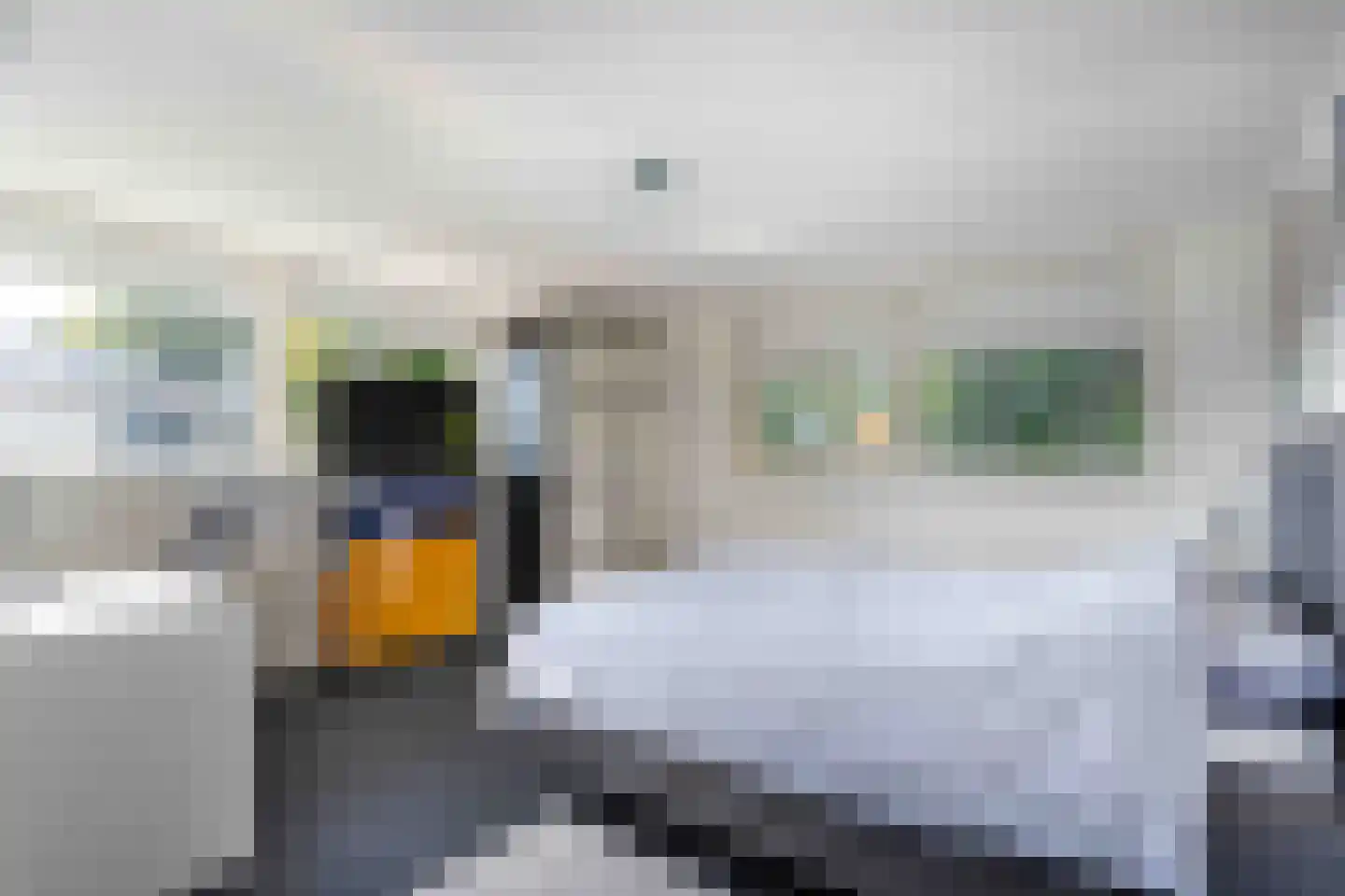 Wolfsbossingel 125 Beuningen Gld thumbnail 25
