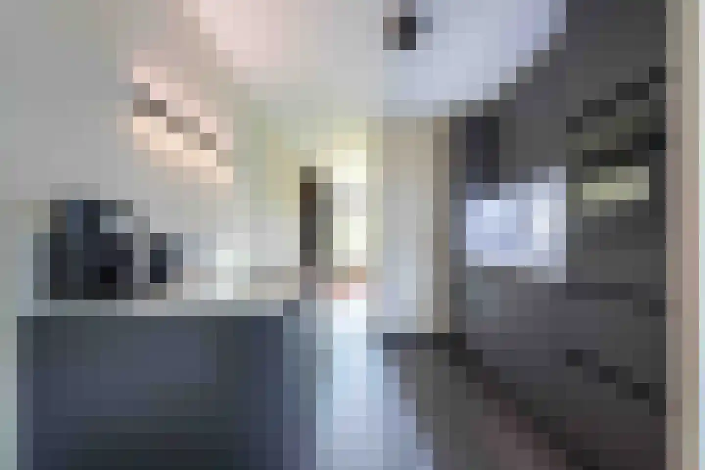 Wolfsbossingel 125 Beuningen Gld thumbnail 8