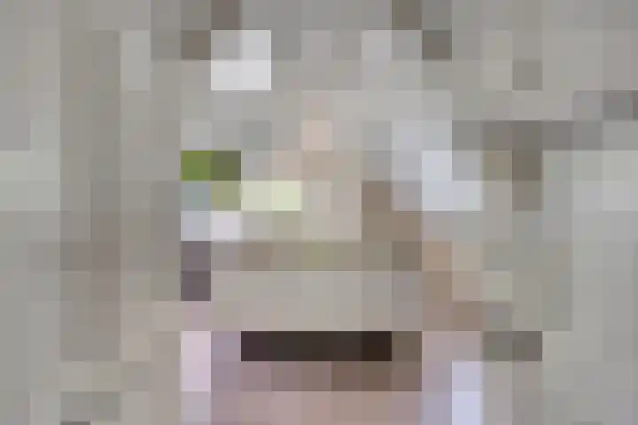 Wolfsbossingel 33 Beuningen Gld thumbnail 10