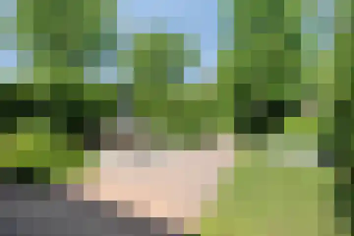Wolfsbossingel 33 Beuningen Gld thumbnail 28