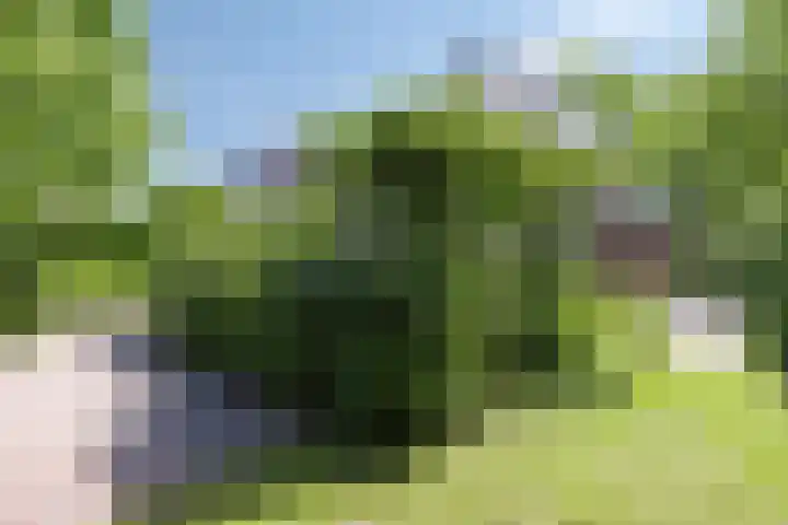 Wolfsbossingel 33 Beuningen Gld thumbnail 31