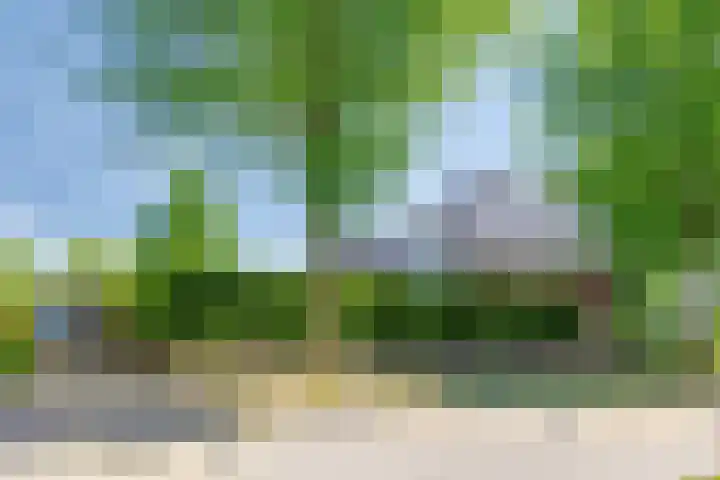 Wolfsbossingel 33 Beuningen Gld thumbnail 34