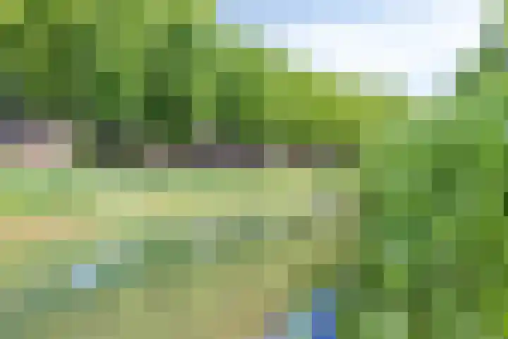 Wolfsbossingel 33 Beuningen Gld thumbnail 37