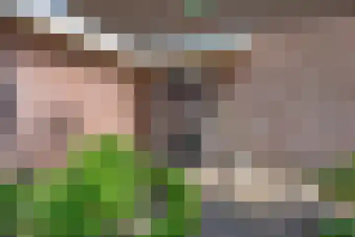 Wolfsbossingel 33 Beuningen Gld thumbnail 39