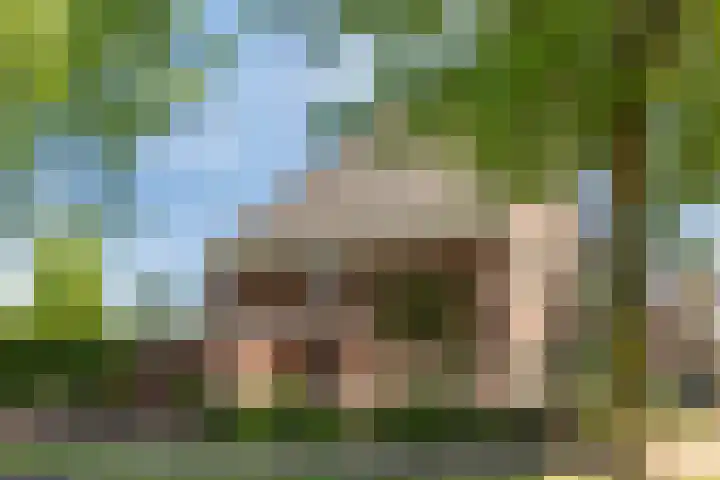Wolfsbossingel 33 Beuningen Gld thumbnail 41