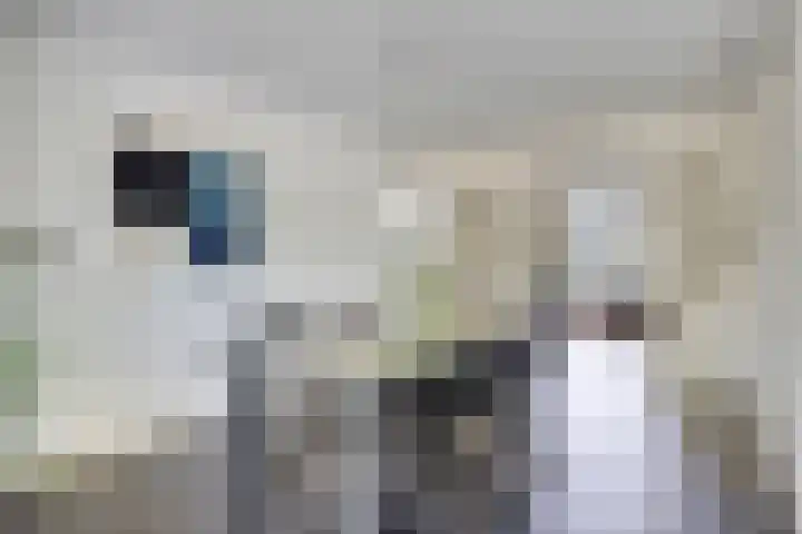 Wolfsbossingel 33 Beuningen Gld thumbnail 6