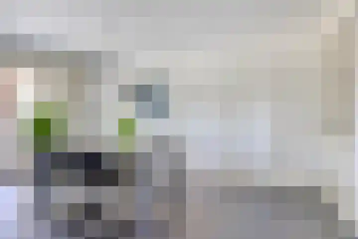 Wolfsbossingel 33 Beuningen Gld thumbnail 7