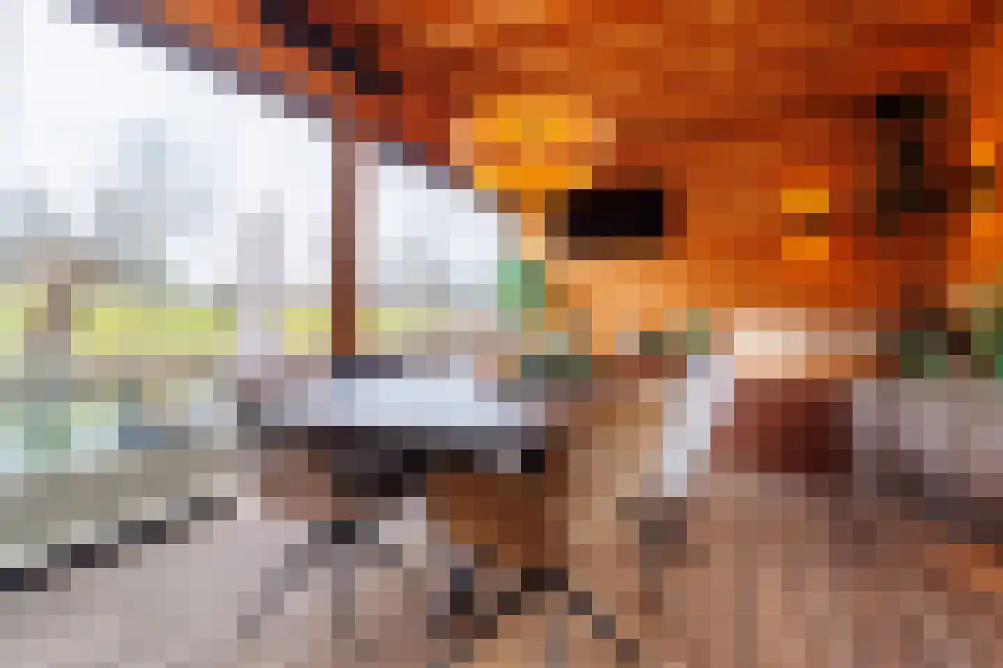 Wolfsbossingel 48 Beuningen Gld thumbnail 19