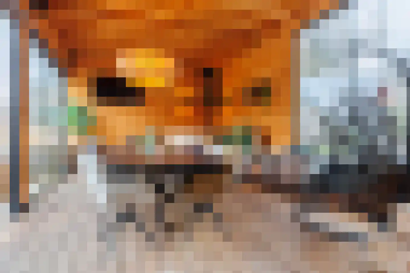 Wolfsbossingel 48 Beuningen Gld thumbnail 20