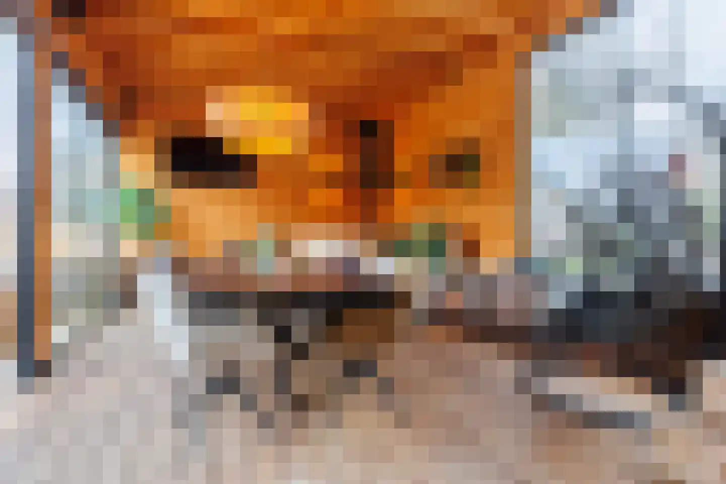 Wolfsbossingel 48 Beuningen Gld thumbnail 25