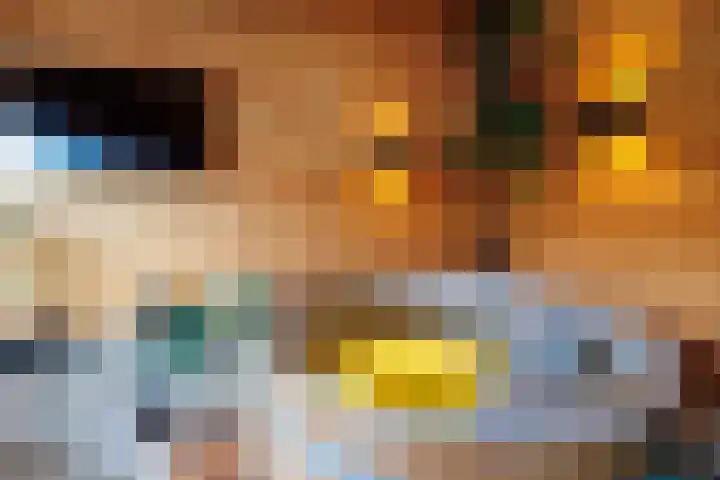 Wolfsbossingel 48 Beuningen Gld thumbnail 28
