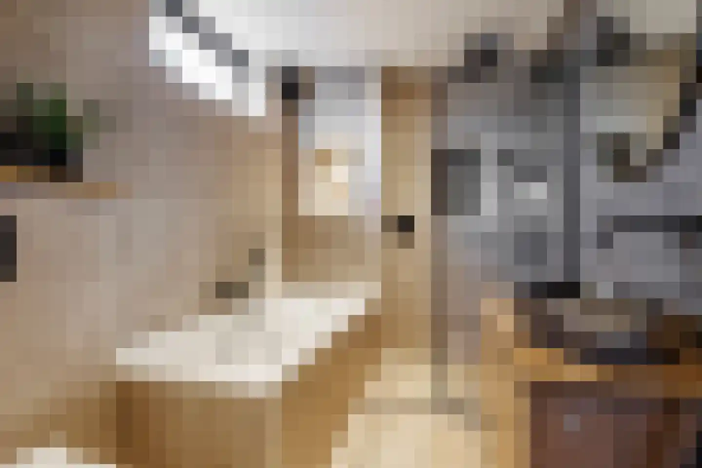 Wolfsbossingel 48 Beuningen Gld thumbnail 37